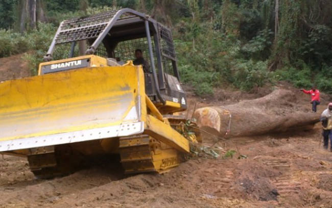 首页|尊龙人生就是博官网入口